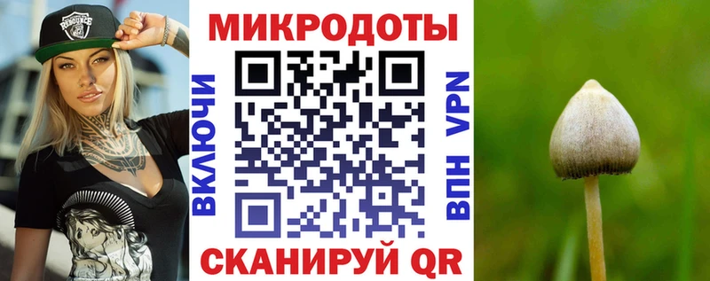 Галлюциногенные грибы Magic Shrooms  Купить закладки  Ивантеевка 
